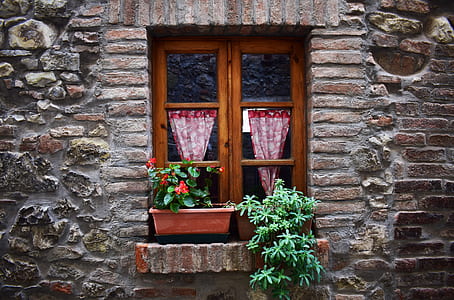 red petaled flower beside brown window frame thumbnail