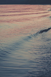 Body Of Water thumbnail