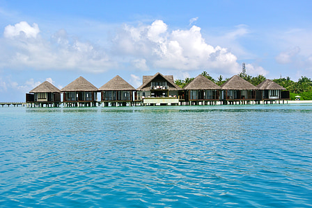 brown cottages beside body of water thumbnail