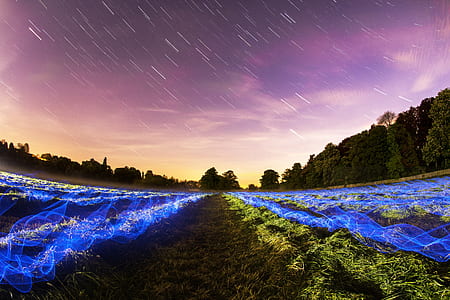 blue and green garden field thumbnail