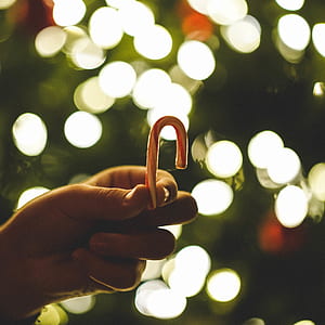 person holding red candy cane thumbnail