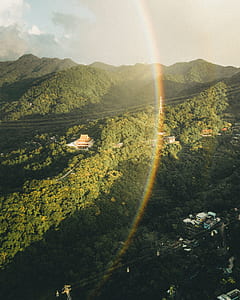 aerial view of forest thumbnail