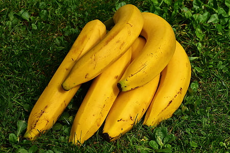 bananas on green field thumbnail
