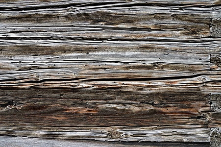 grey wood log thumbnail
