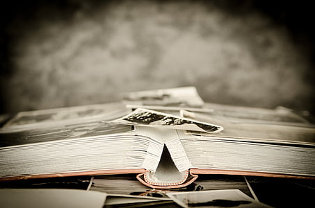 grayscale photo on center of book thumbnail