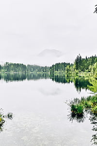 bodies of water near tree at daytime thumbnail