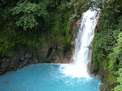 waterfall surrounded green leaf plants thumbnail