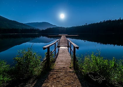 brown wooden dock on lake thumbnail