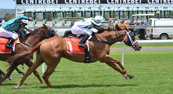 jockey in white uniform riding on brown horse thumbnail