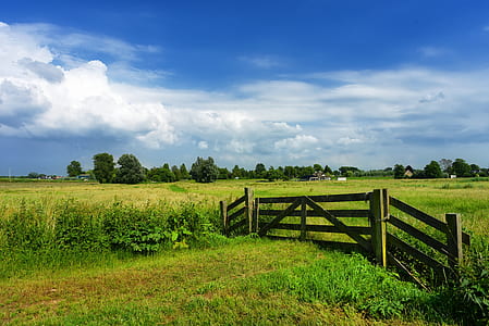 brown wooden fence thumbnail