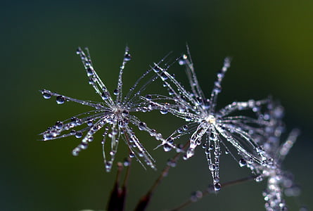 close photo of snowflakes thumbnail