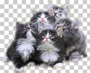 215 Munchkin Png Cliparts For Free Download Uihere