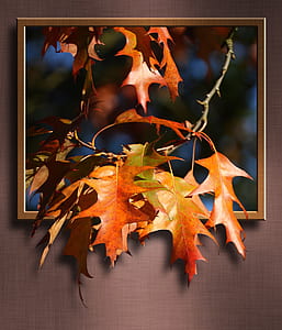 orange leaves 3D painting thumbnail
