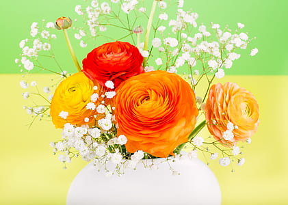 orange ranunculus flowers and white baby's breath flowers centerpiece closeup photography thumbnail