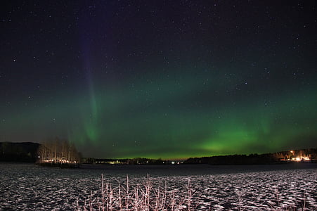 leafless trees under Aurora Borealis thumbnail