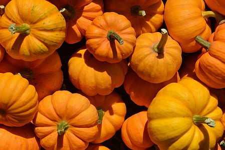 pile of orange squash thumbnail