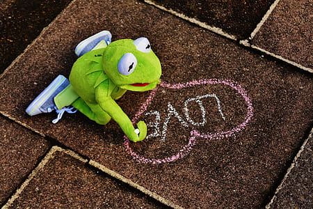 frog plush toy written love on surface thumbnail