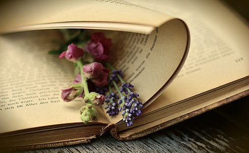 pink and purple petaled flower on book page thumbnail