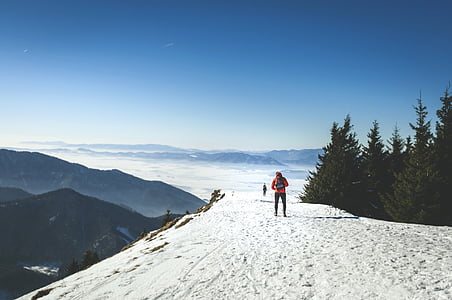 person walking near tree on high elevated land surface thumbnail