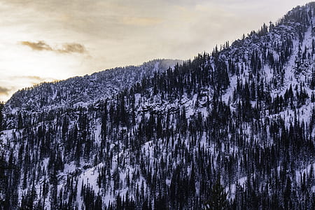 snow mountain during daytime thumbnail
