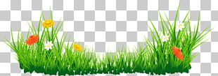 , Flowers with Grass , white, yellow, and red daisies in grass field PNG clipart