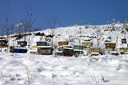 houses covered in snow under blue sky thumbnail