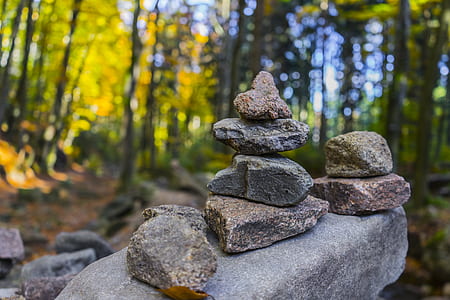 Gray Pile of Stones Near Trees thumbnail