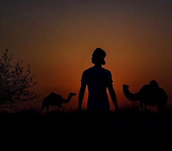 man and camel during golden hour thumbnail