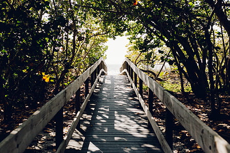 beach, bridge, path, boardwalk thumbnail