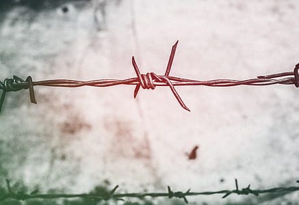 landscape, blur, fall, fence thumbnail