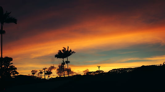 silhouette of tree under blue sky thumbnail