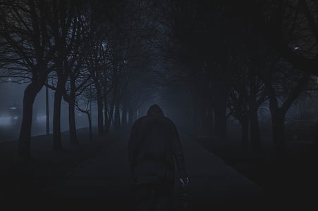 person walking on forest thumbnail