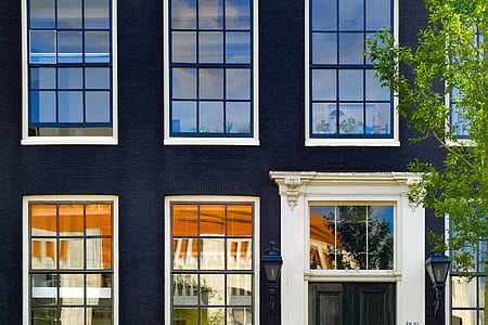 blue and white concrete building near green tree thumbnail