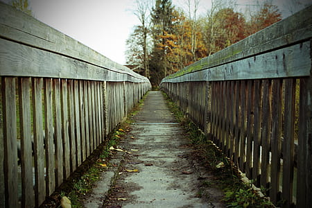 Wooden Pathway Heading on Forest thumbnail