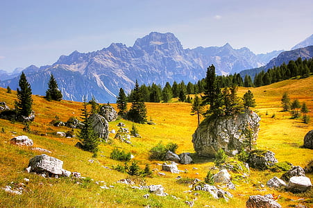 green trees near mountain during daytime thumbnail