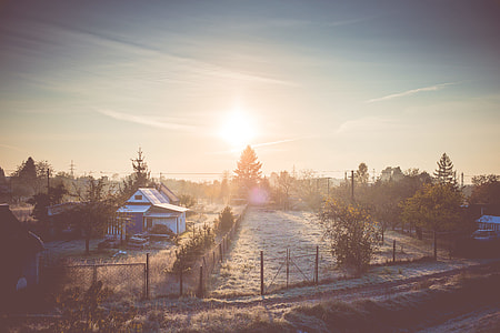 Cold Winter Morning over Gardening Colony thumbnail