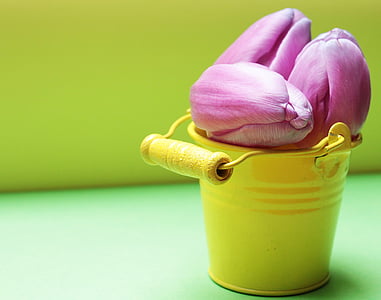 pink tulips on bucket thumbnail