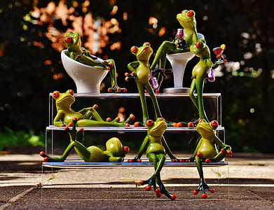 frogs on rack thumbnail