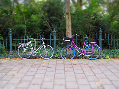 white and purple city bikes beside teal fence thumbnail