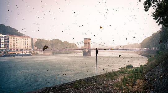 photo of suspension bridge near building thumbnail
