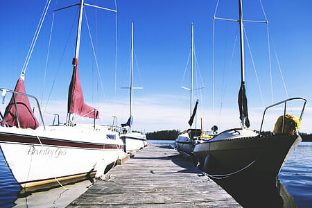 Yachts at Dock thumbnail