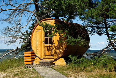 brown wooden house thumbnail