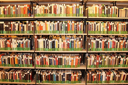 assorted book aligned on bookshelves thumbnail