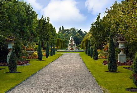landscape photography of water fountain surrounded by trees under white sky thumbnail