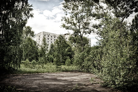 white concrete building near trees at daytime thumbnail