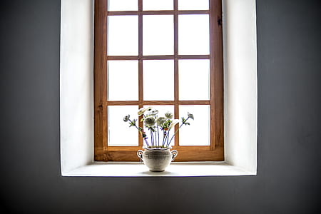 white petaled flowers on white pot near brown window at daytime thumbnail