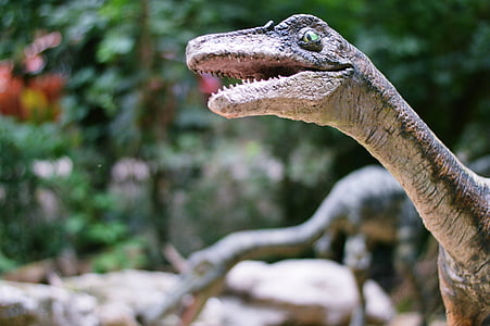 selective focus photography of brown dinosaur thumbnail