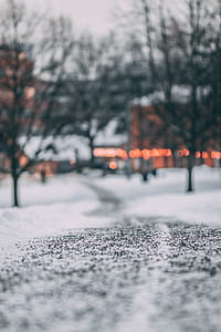 bokeh photography of pavement thumbnail