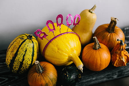 Pumpkins & Halloween thumbnail