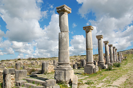 gray concrete pillars on clear field thumbnail
